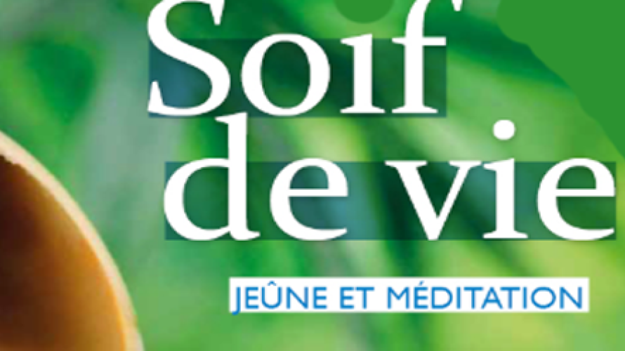 nouvelle-cite.fr
