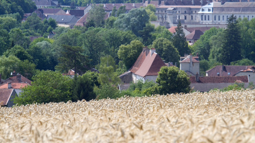L'abbaye de Clairvaux