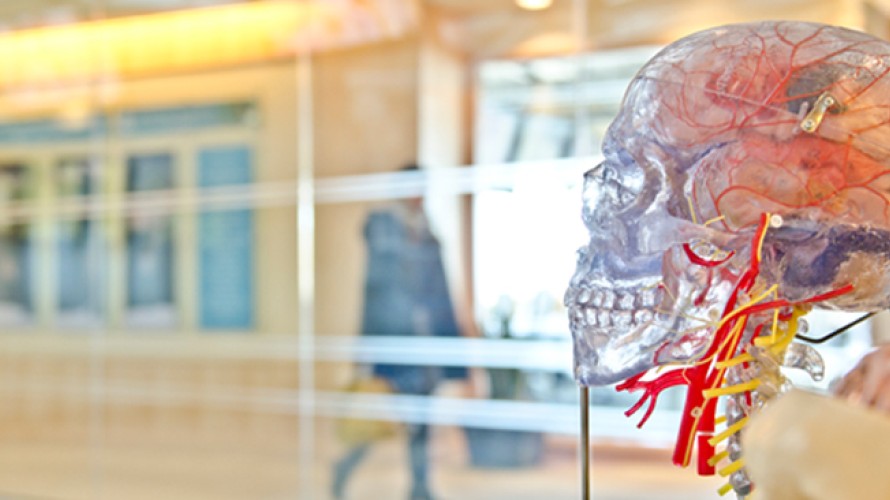 jesse orrico / Unsplash - États généraux de la bioéthique, après le temps des sondages vient celui des débats