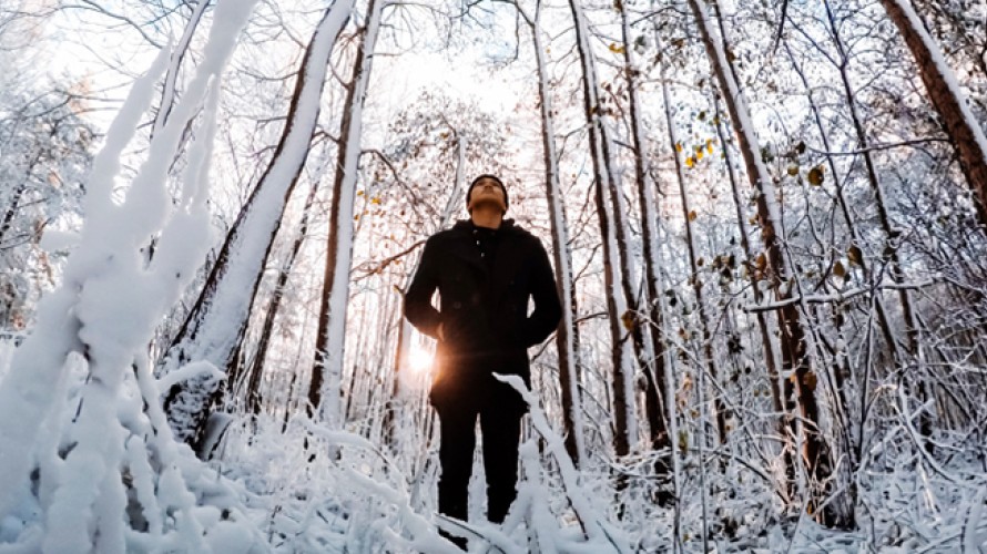 Arnold Exconde / Unsplash - Claire, trouée, clairièrée, stratifiée, dense... Il y a une foule de définitions pour parler de la forêt