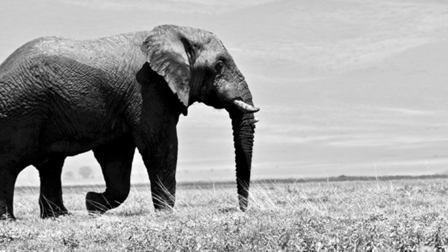 Parsing Eye / Unsplash