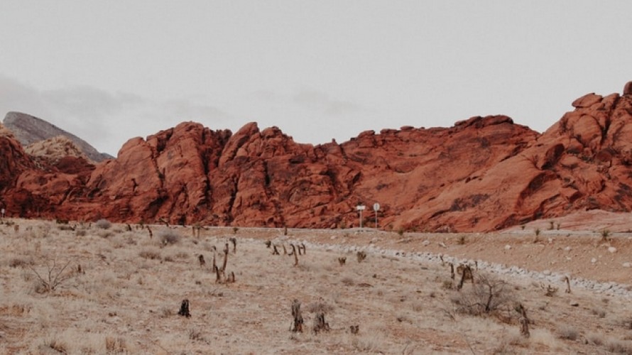 Photo by NeONBRAND on Unsplash