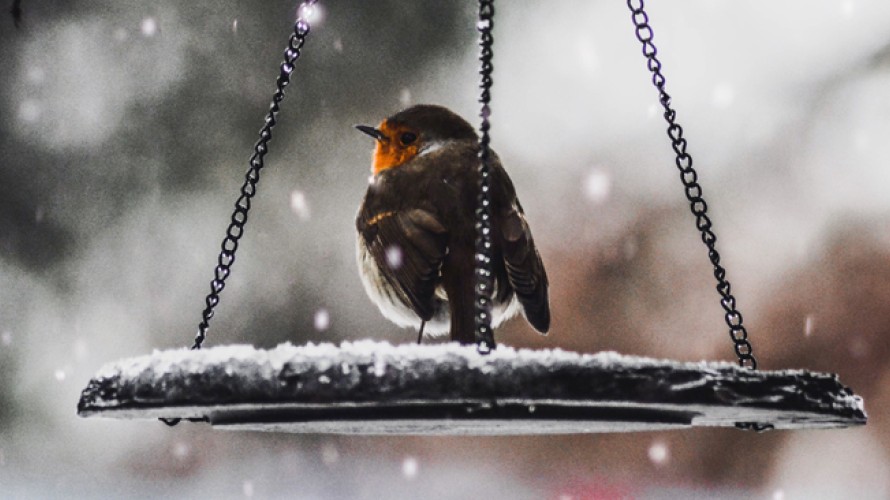Clever Visuals / Unsplash