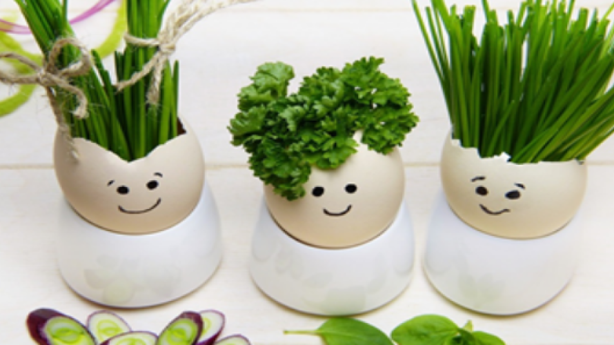 Herbes santé du jardin ©pixabay