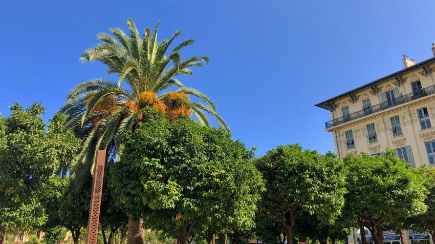 Photo by Adora Goodenough on Unsplash