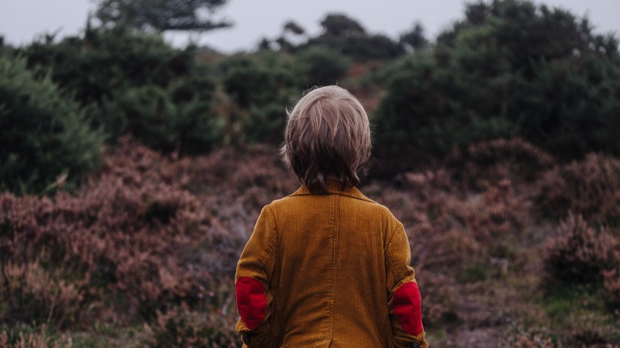 Annie Spratt / Unsplash