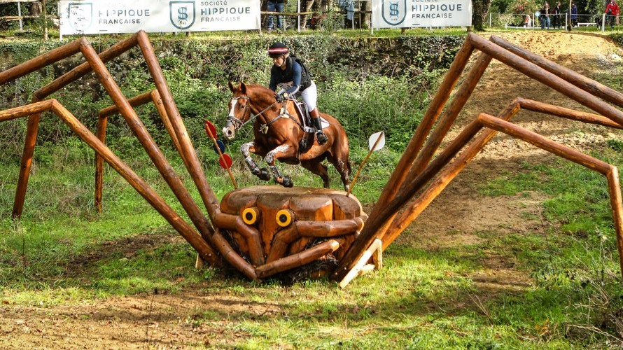 Cross du Mondial du Lion ©Mondial du Lion