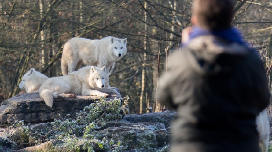 L'hiver, l'occasion d'une vraie proximité avec la nature © Parc Sainte-Croix