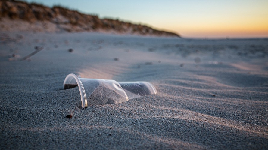 Entre 400 et 500 personnes étaient au rendez-vous à Erdeven pour traquer le plastique.