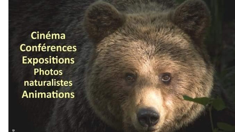 Le festival propose un temps fort sur l'ours. 