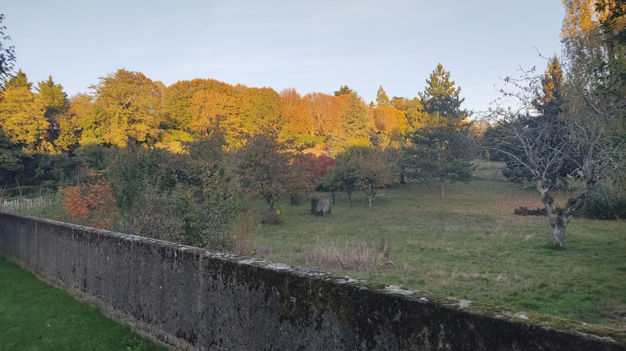 Fondacio veut créer un parking de 80 places en bas du parc de l'Esvière. "Il n'occuperait que 20 % du parc", précise Pascal Michel, le directeur du site.
