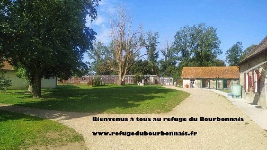 Le refuge SPA de Lusigny espère trouver des fonds pour améliorer ses locaux
