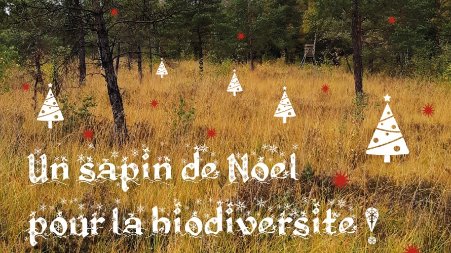 Conservatoire d’espaces naturels de Champagne-Ardenne