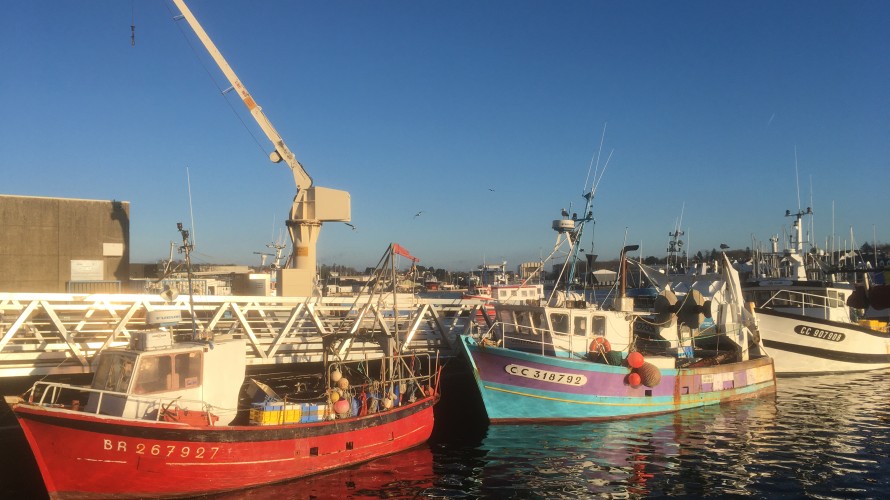 Des bateaux à quai dans le port de pêche de Concarneau (Finistère) - ©Ronan Le Coz (archives)