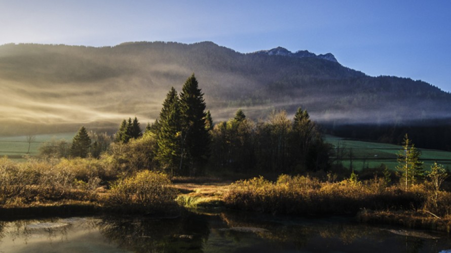 alek-krivec-UNSPLASH