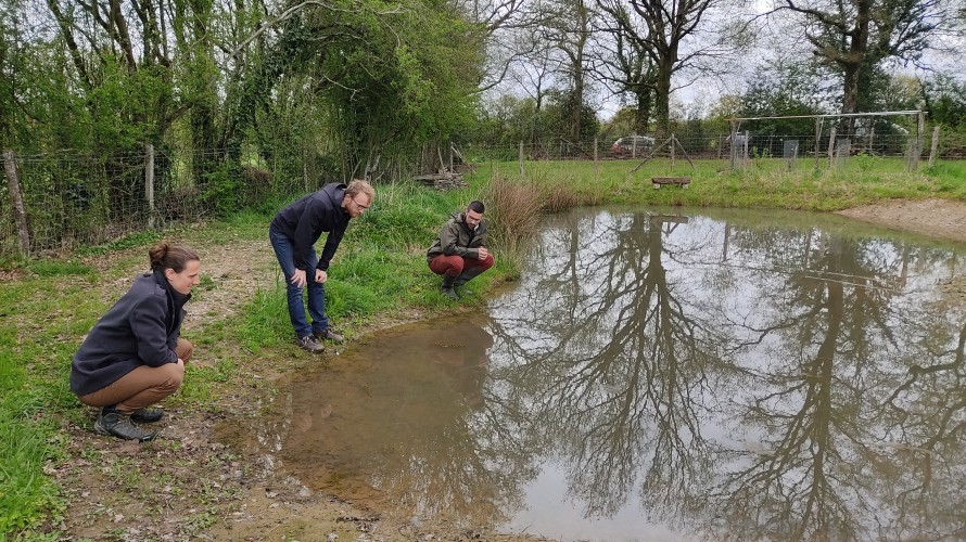 Jérôme Bertrand et Dorian Angot, du CPIE Loire-Anjou, et Hugo Coutand, qui a créé cette mare avec son père en 2013, scrutent l'eau à la recherche d'amphibiens. ©RCF Anjou