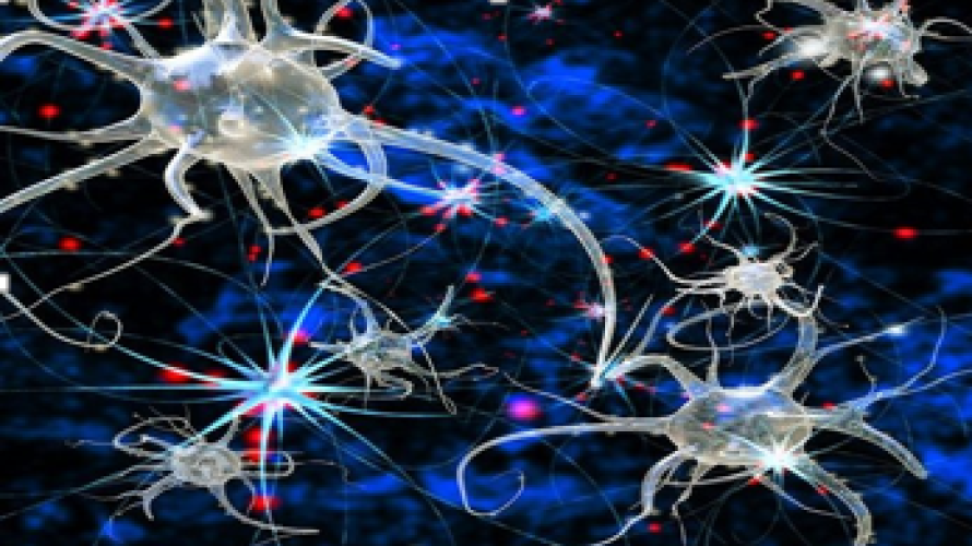 neurones © ma collection privée