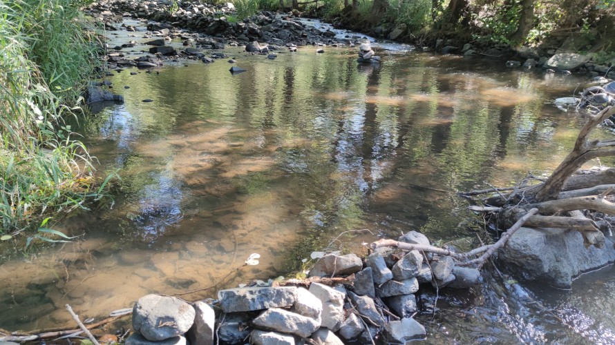 La Borne à Saint-Vidal fait partie des cours d'eau surveillés chaque année. ©Cédric Bonnefoy