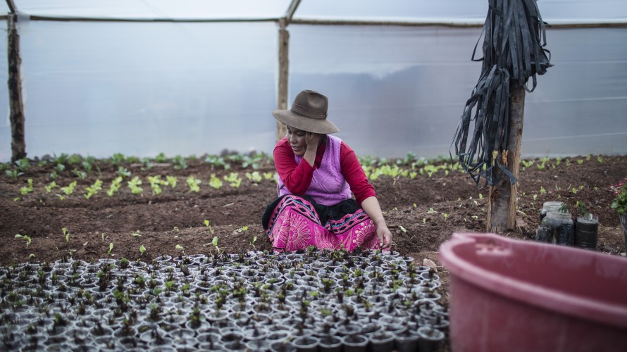 © Catalina Martin-Chico