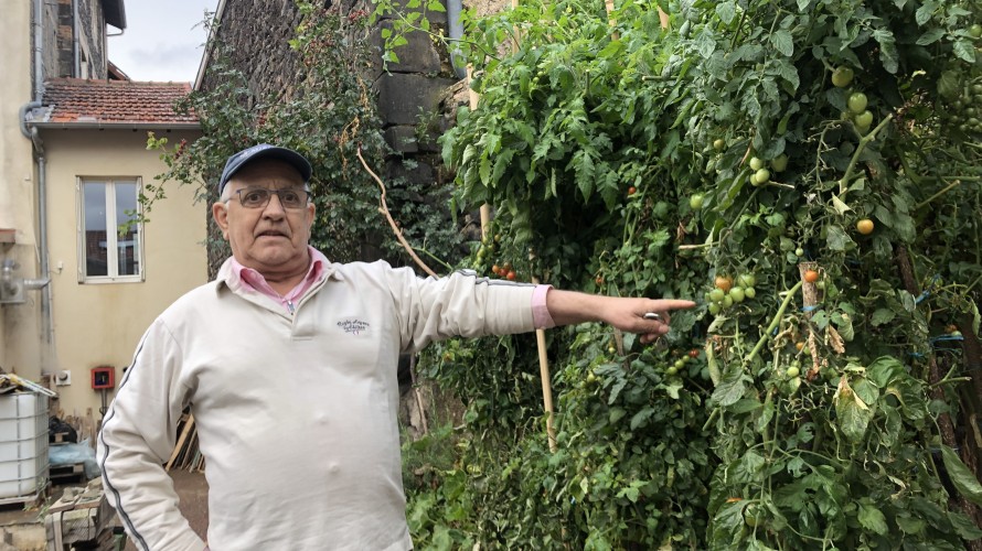Un potager aux abords de la Maison Saint-Pierre... Robert veille au grain !