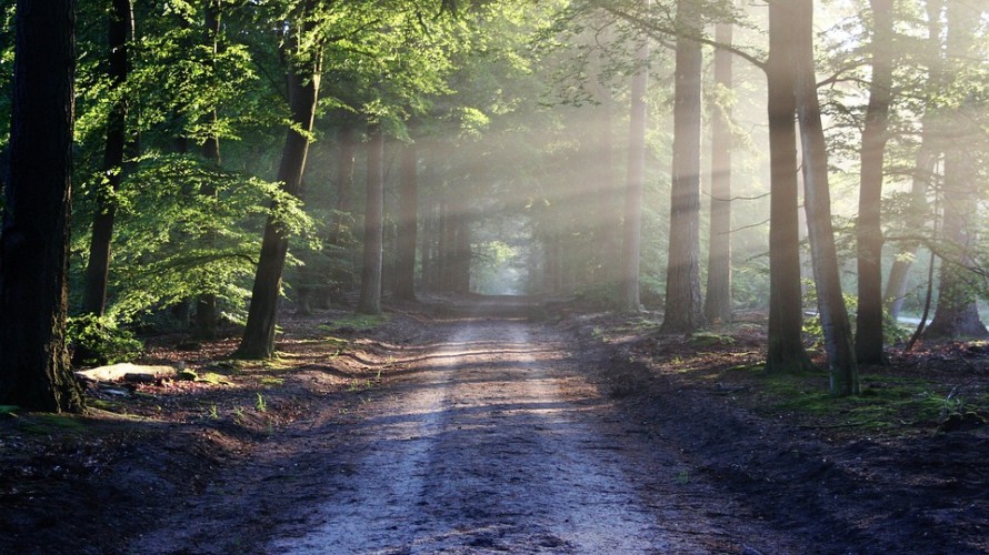  La circulation sur les chemins ruraux et de forêts est soumise à une réglementation complexe.