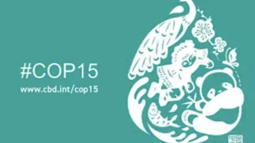 cop15
