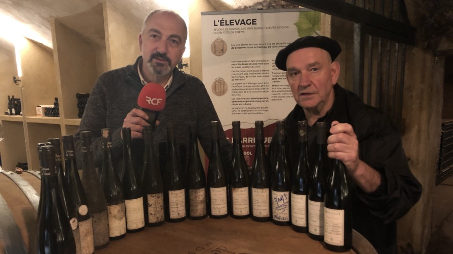 Pierre Oteiza au Château de Vaux chez Molozay du 24 au 26 mars