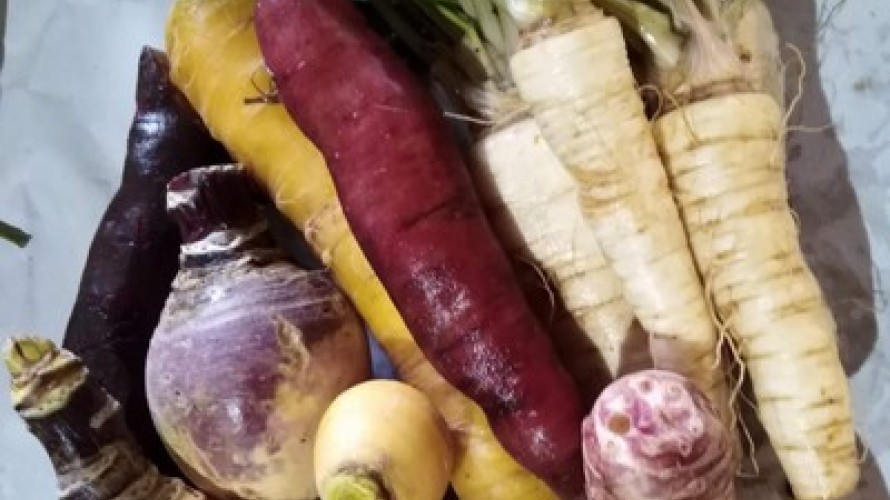 Légumes anciens
