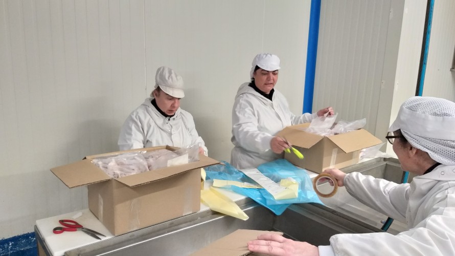 10 personnes travaillent dans l'atelier de marée