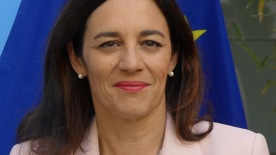 Wikipédia, Laurence Farreng