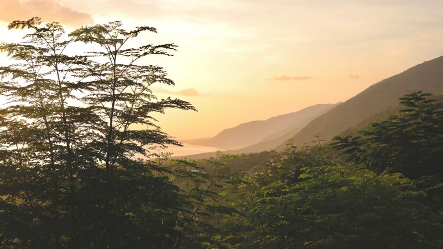 Paysage haïtien. ©Unsplash