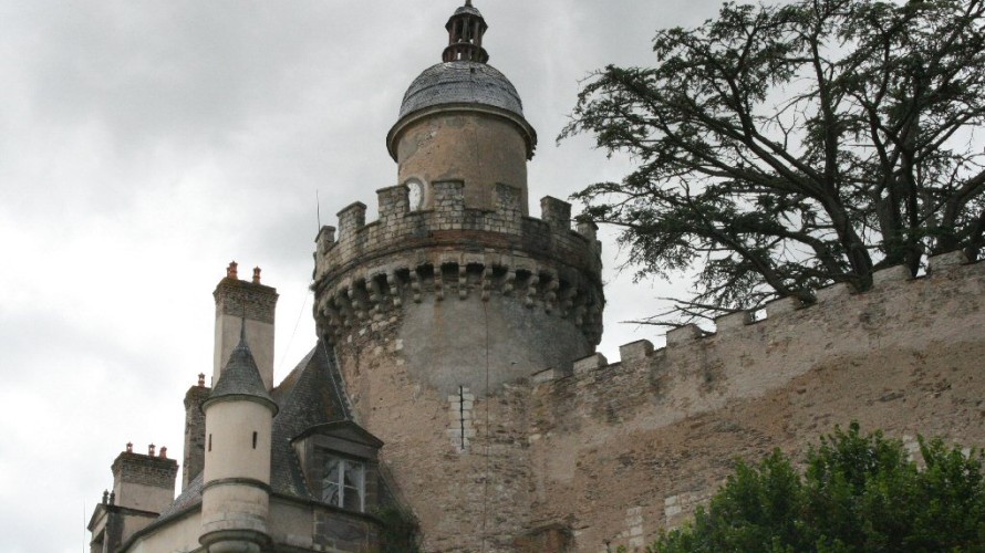 Chateau de Veauce : Chateau de france