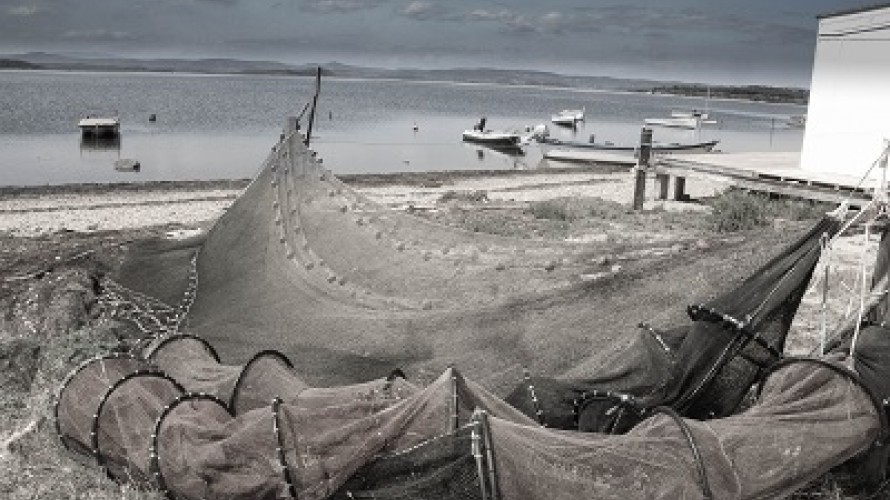 crédit : Hervé Grauby