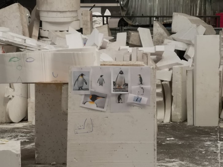 Photographies de pingouins 