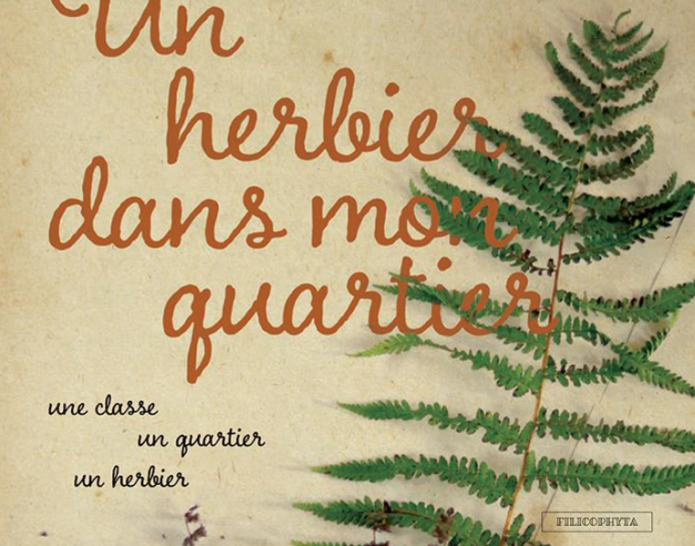Un herbier dans mon quartier, édition 2021