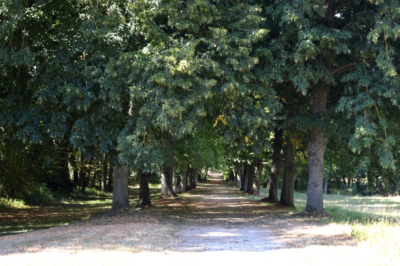 Déambulez à l'ombre des arbres dans le parc romantique de 20 hectares // © Magali Santulli
