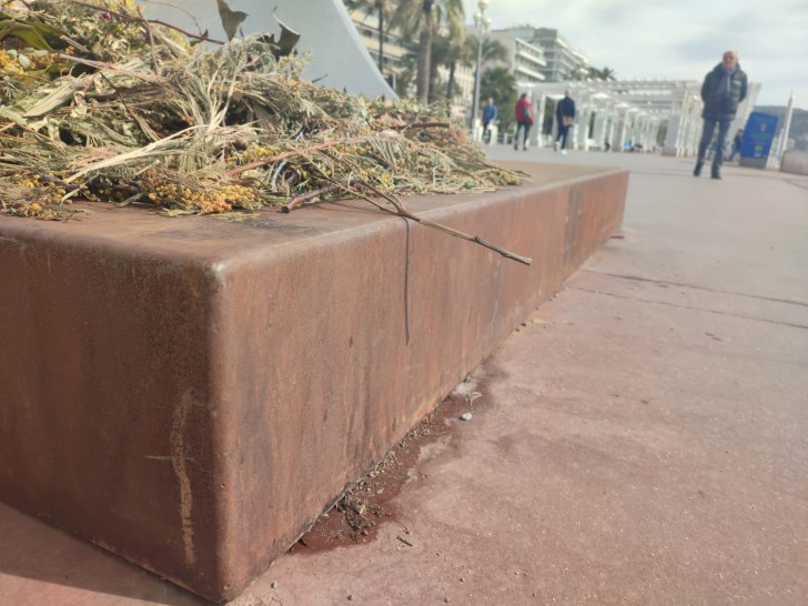 Le socle, encore humide, à côté duquel des chewing-gum ont été jeté le 9 mars 2023.  (Photo RCF Nice Côte d'Azur Laura Grondard)