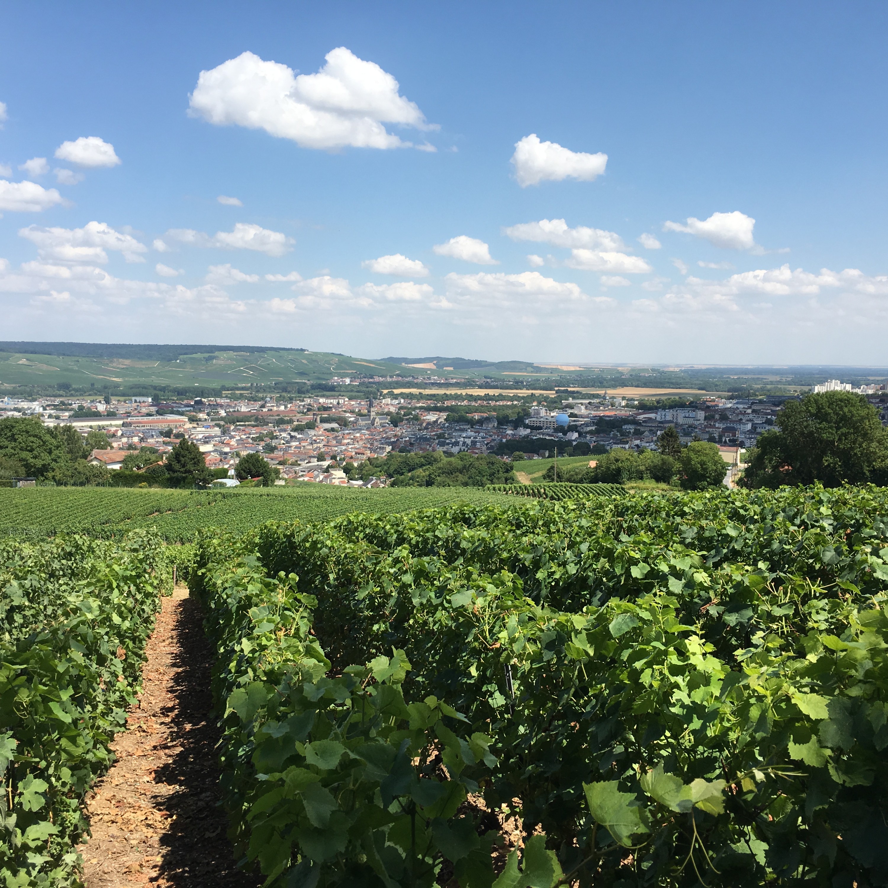 Parlons agriculture ou viticulture · RCF Cœur de Champagne