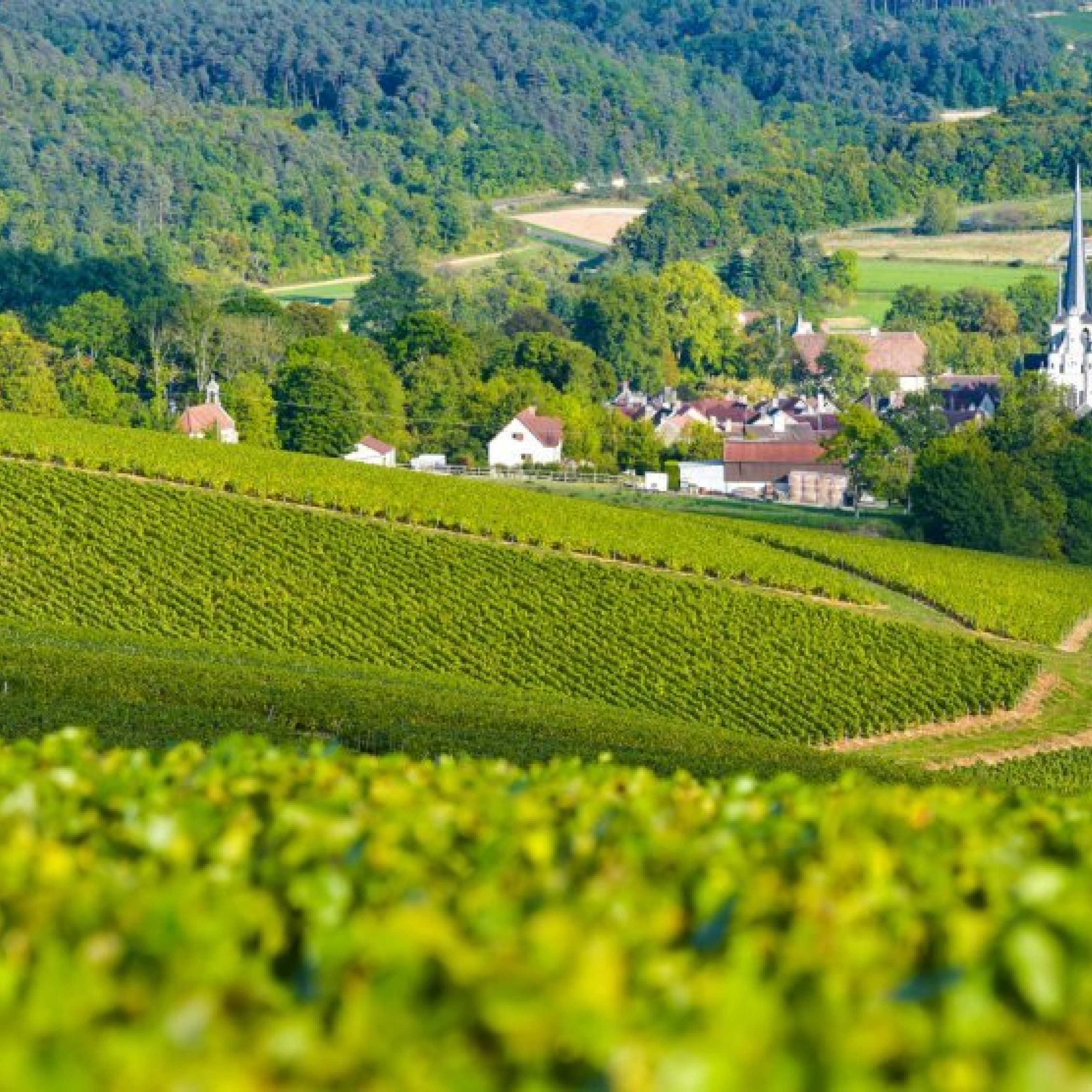 Escapades en Marne · RCF Cœur de Champagne