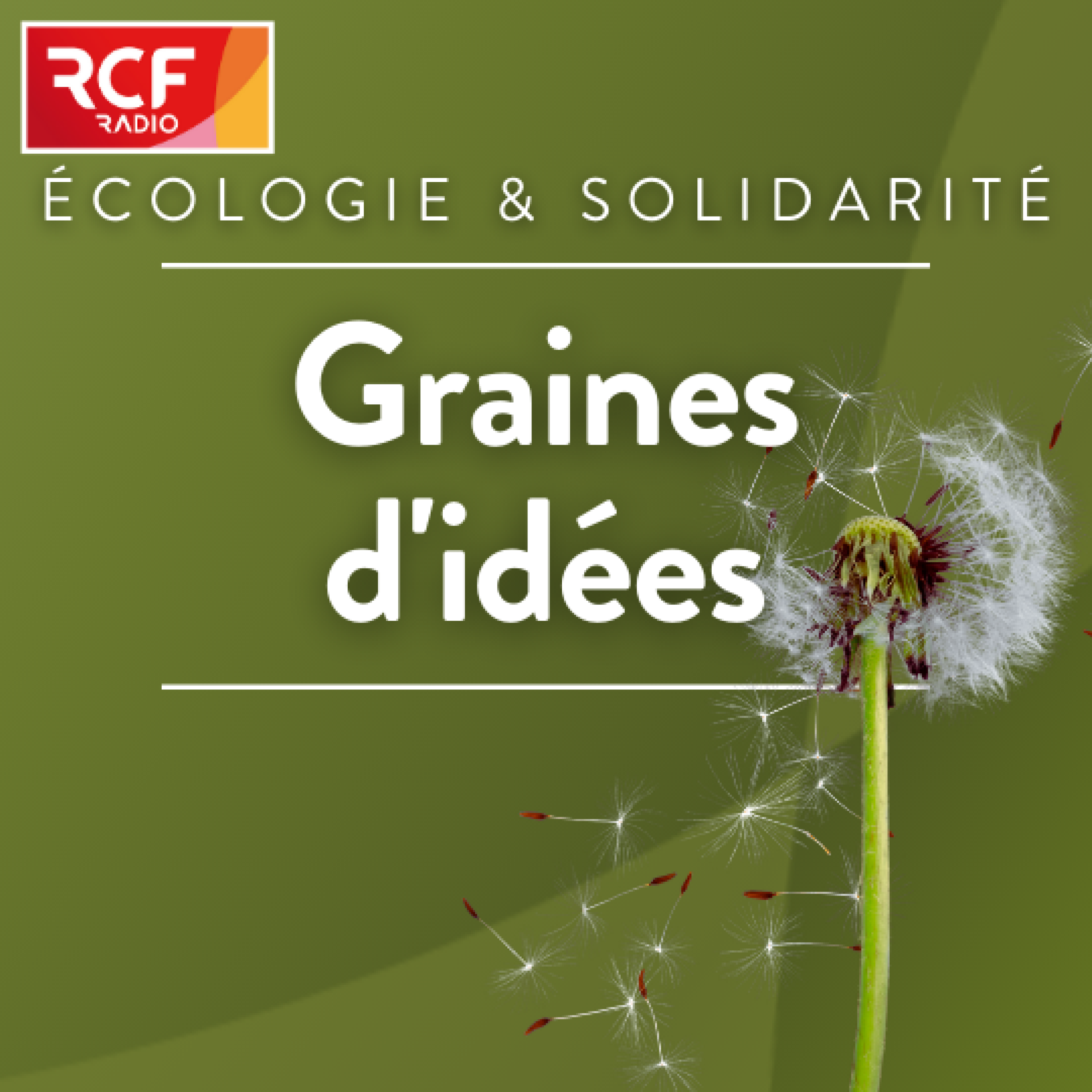 Graines d\'idées