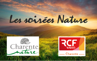 RCF