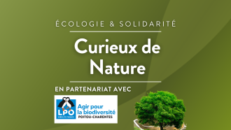 RCFPoitou-EG